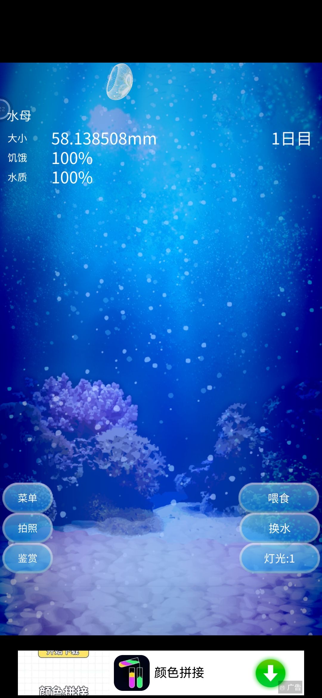 动态图片 1