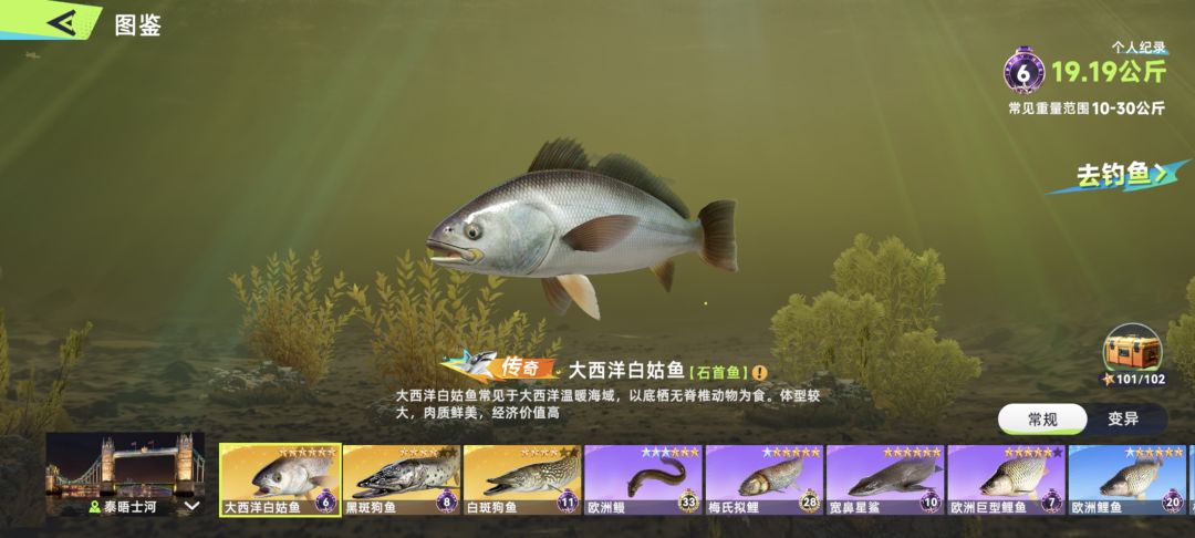 为什么我只能打20个字 我想说的有很多 1