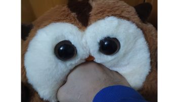 小洪大礼包来了，一些返图