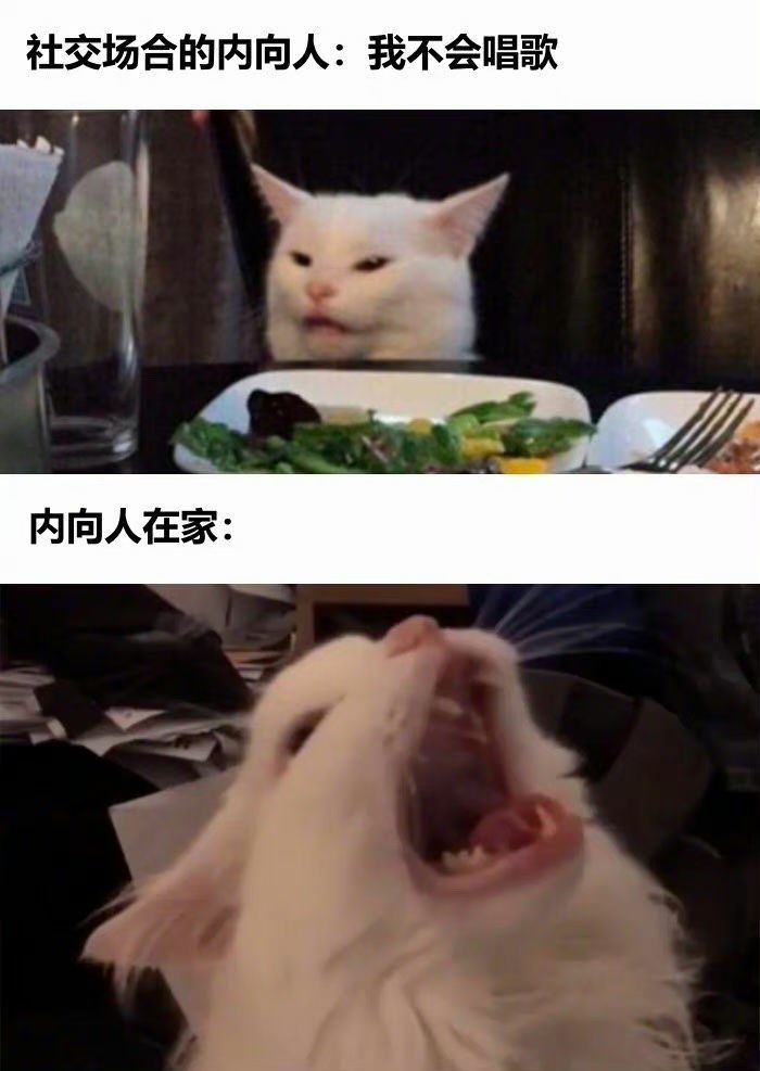 【沙雕图片】每日更新搞笑图片#10 2