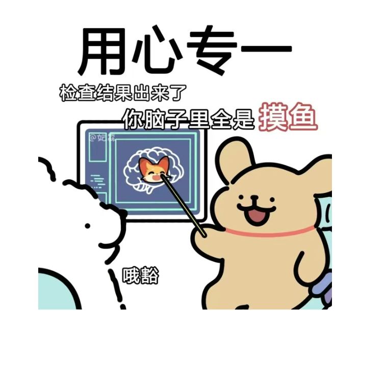 加强游侠 2