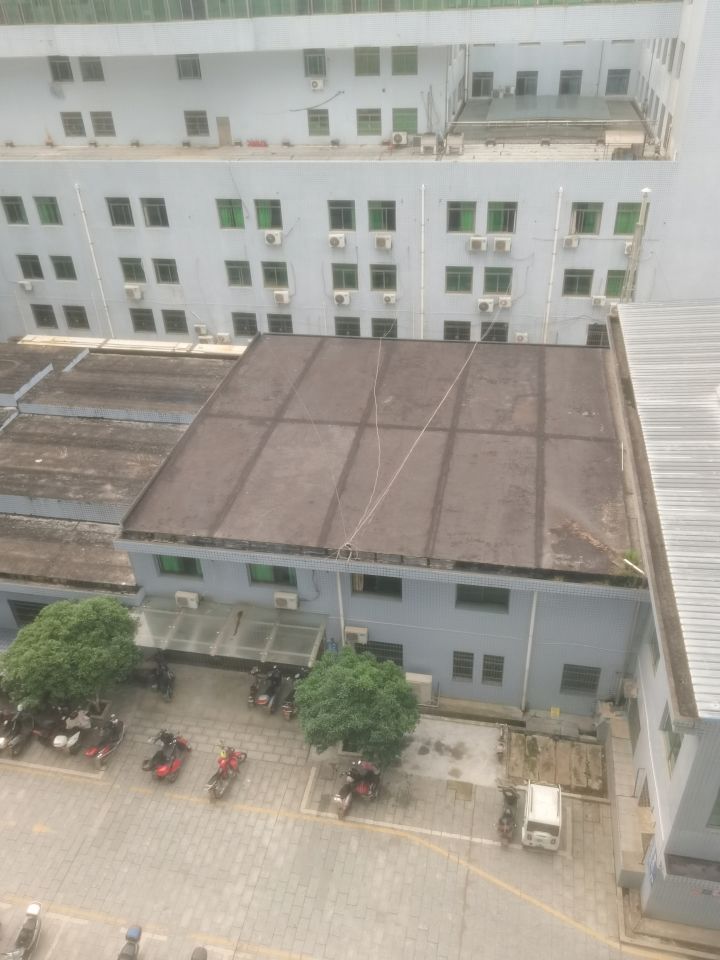 端午分享第二天截图