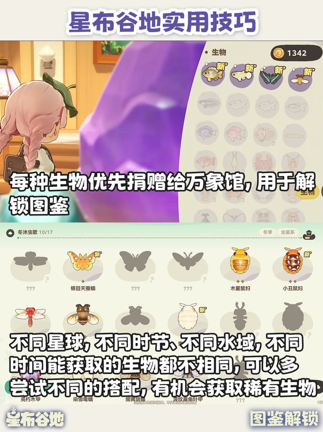星布谷地实用技巧 新手少走弯路! 8