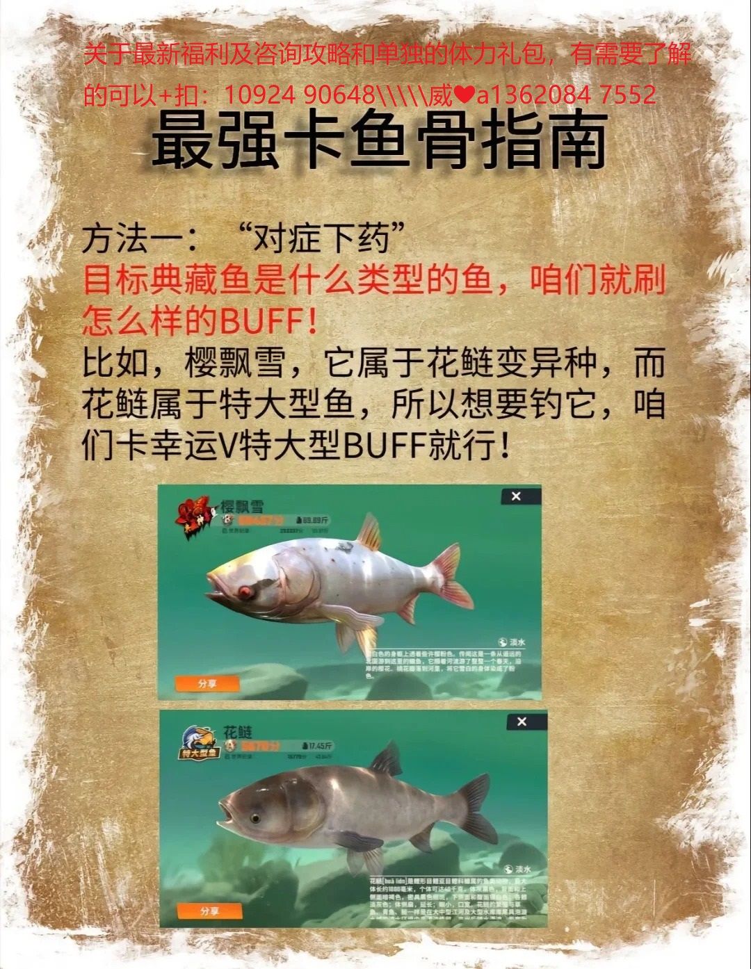 全网最强卡鱼骨指南截图