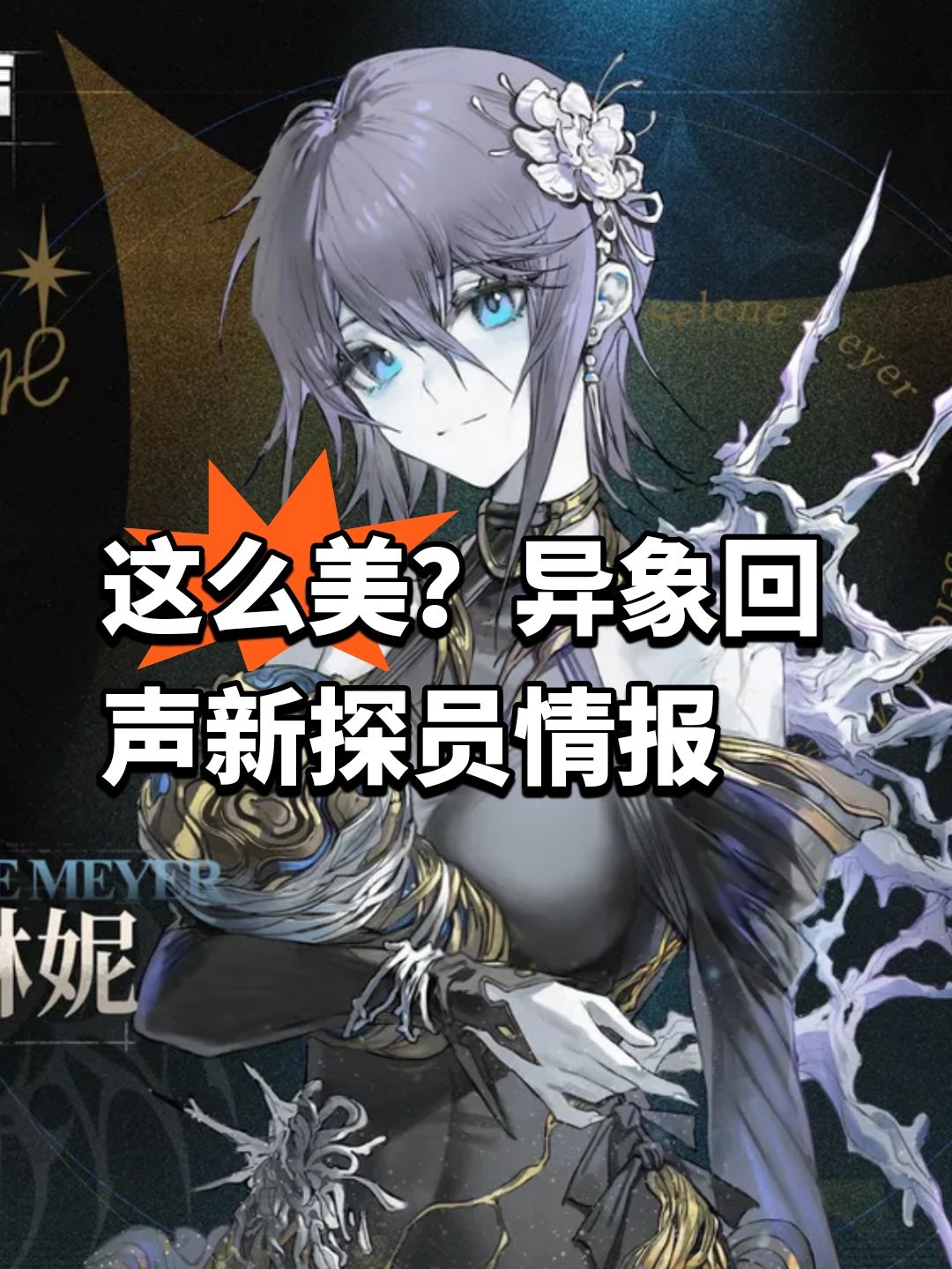这么美?异象回声新探员情报 1