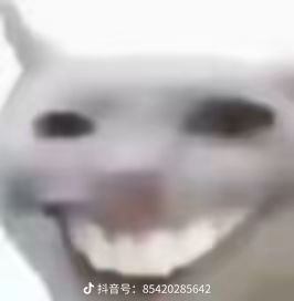 11点了,没进去, 1