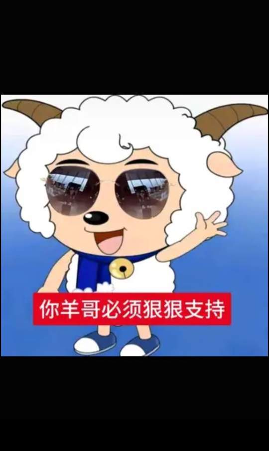 车车 4