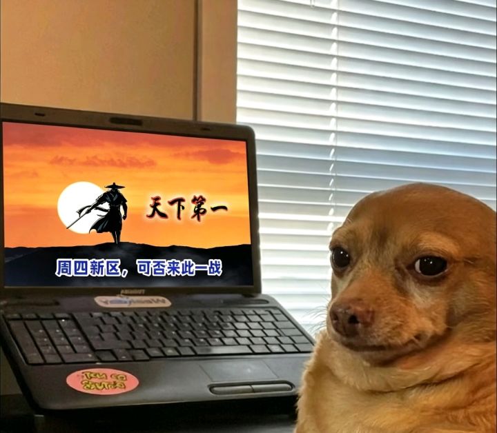 卧虎藏龙手游周四新区,等你来战截图