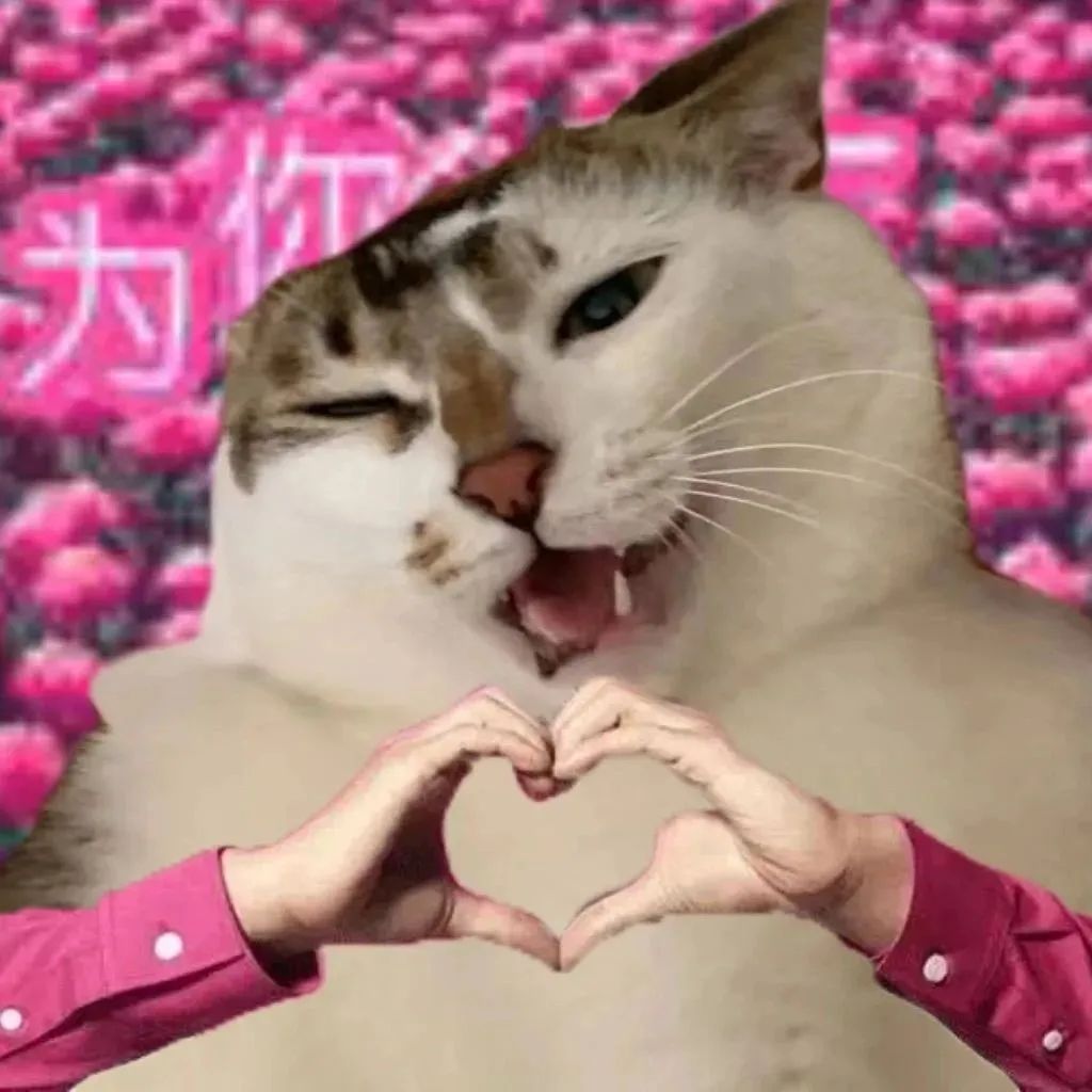 哥你好帅 2