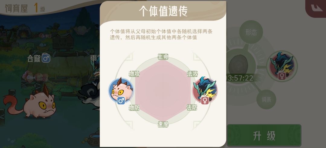 宠物培育孵蛋新手推荐 2