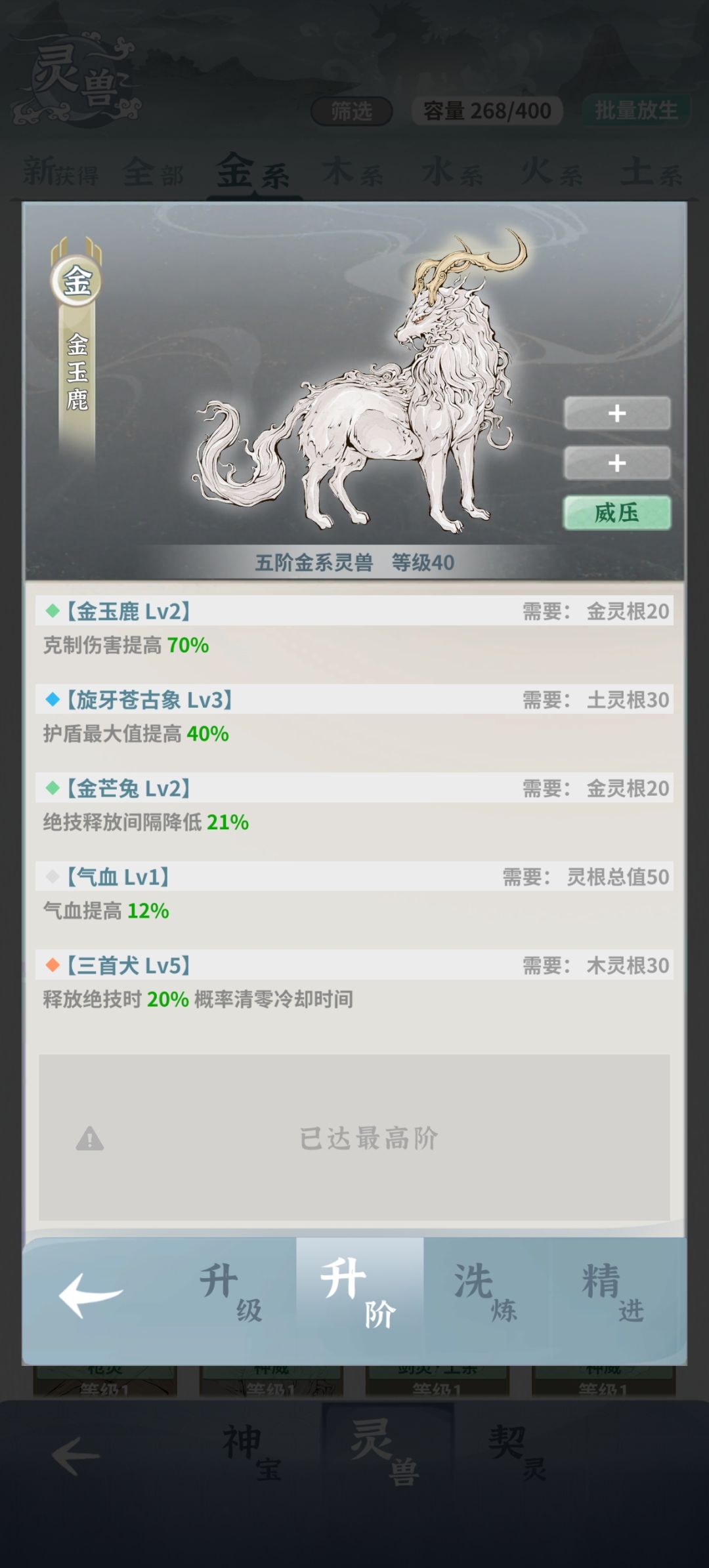 关于师尊的宝宝 1