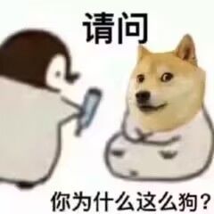这些人太坏了！截图
