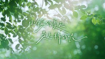 关于你、关于我、关于小镇的夏天