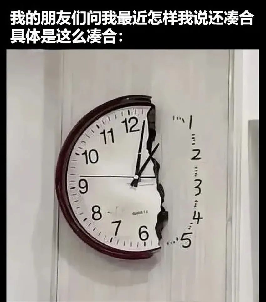 今日份梗图分享 3