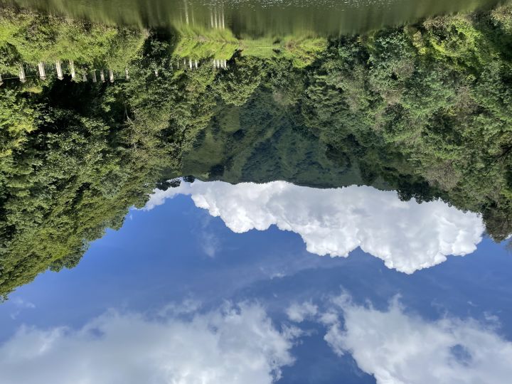 难得好天气截图