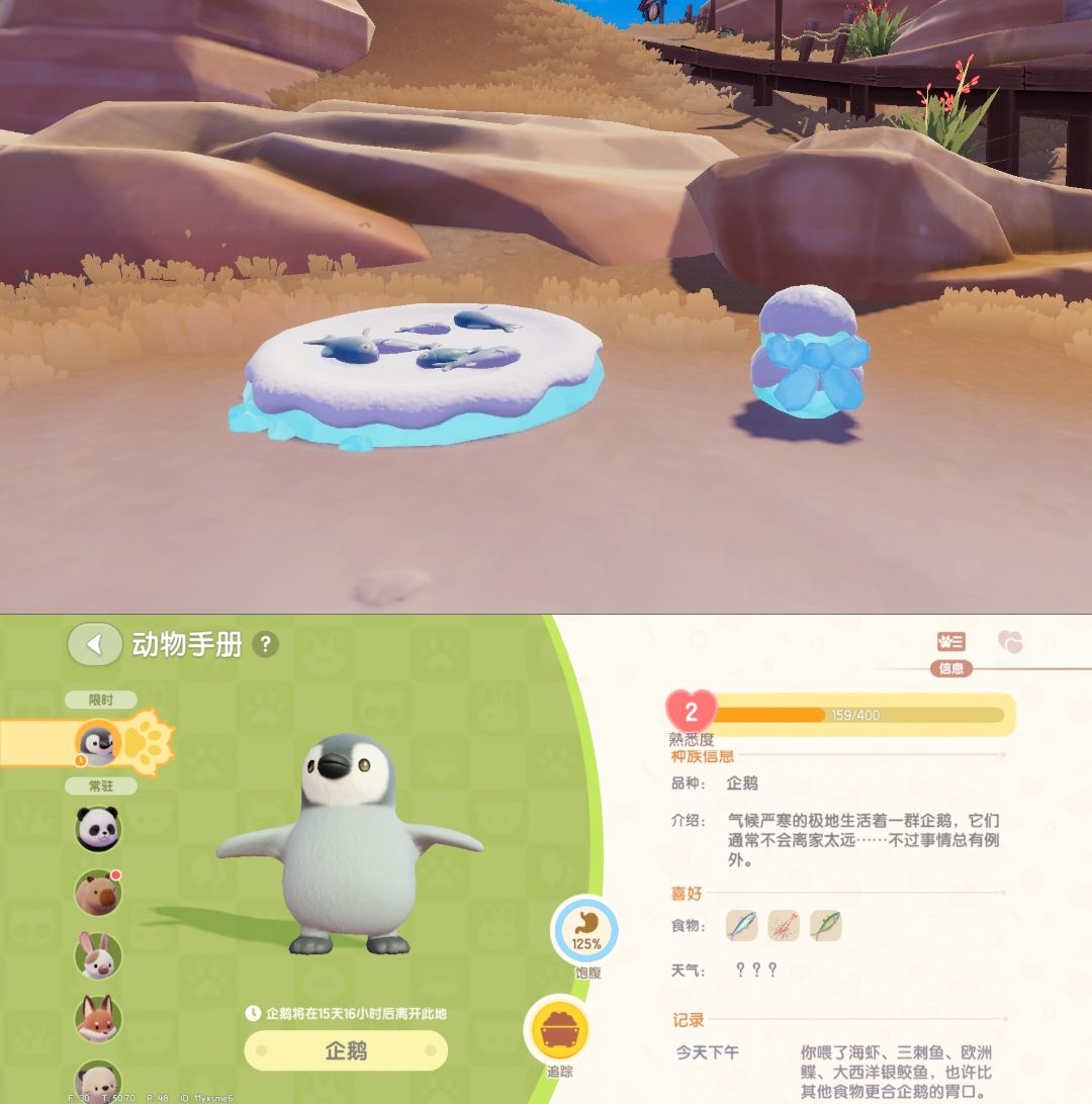 2月26日日常攻略合集 2