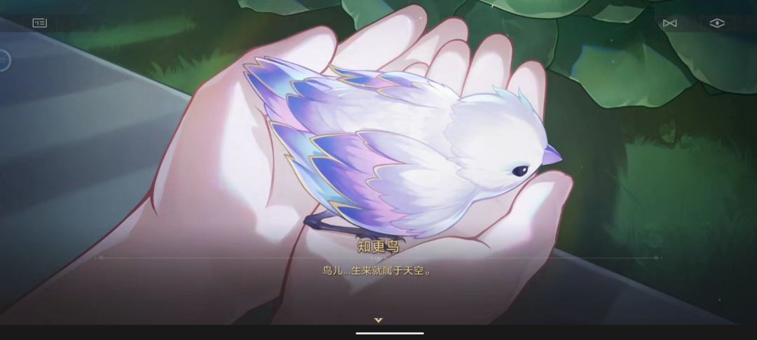 真的都好帅,可惜我的米莎小男孩 2