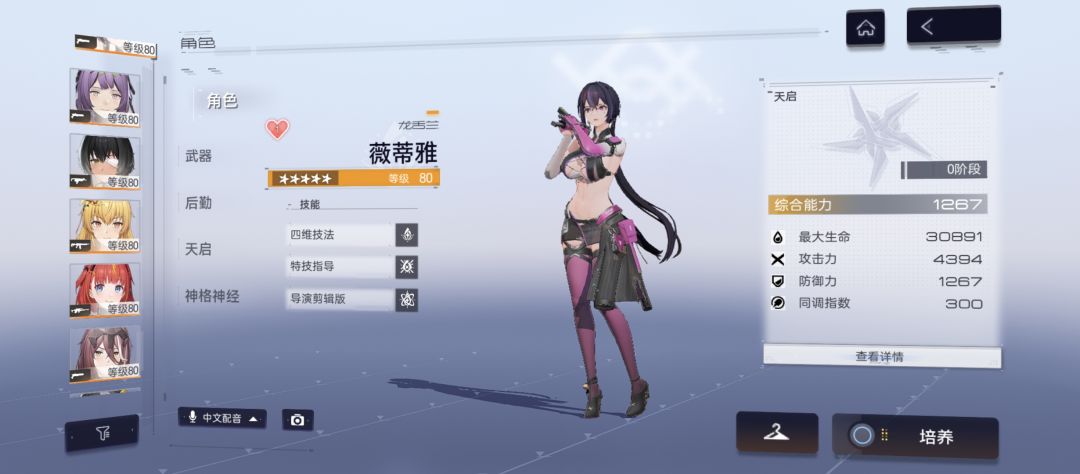 龙舌兰现环境总结截图