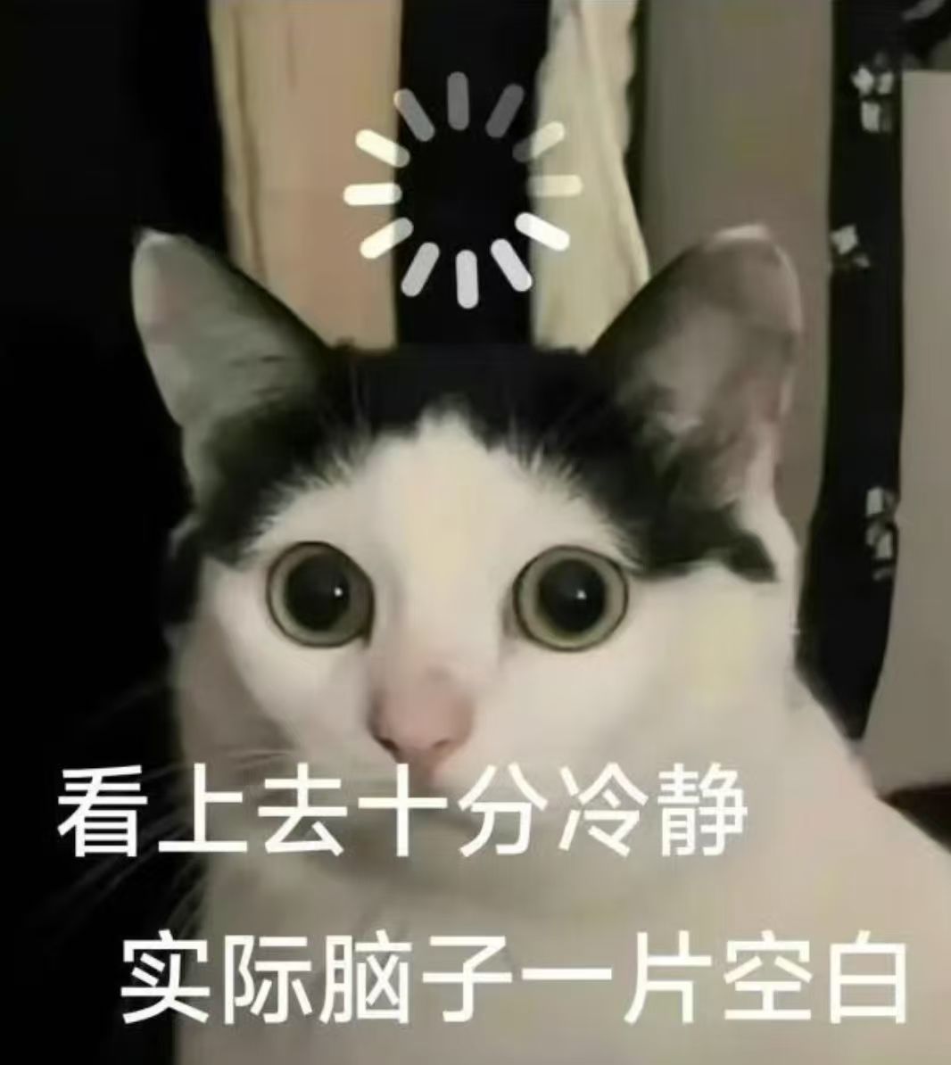 求那种一个人可以玩很久的游戏 1