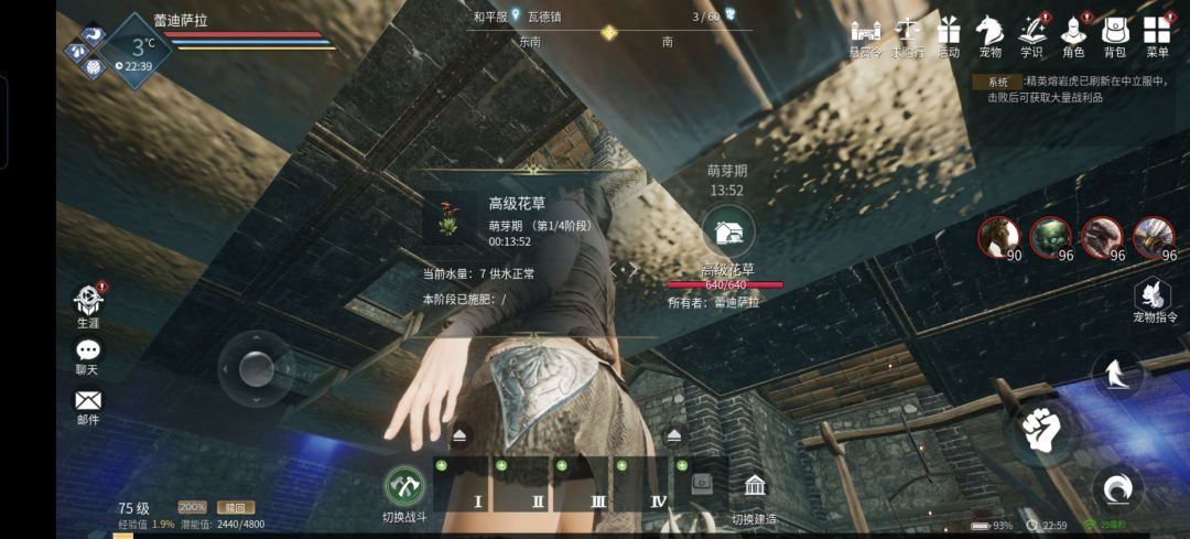 这个游戏的世界蛮多神奇的东西的 2