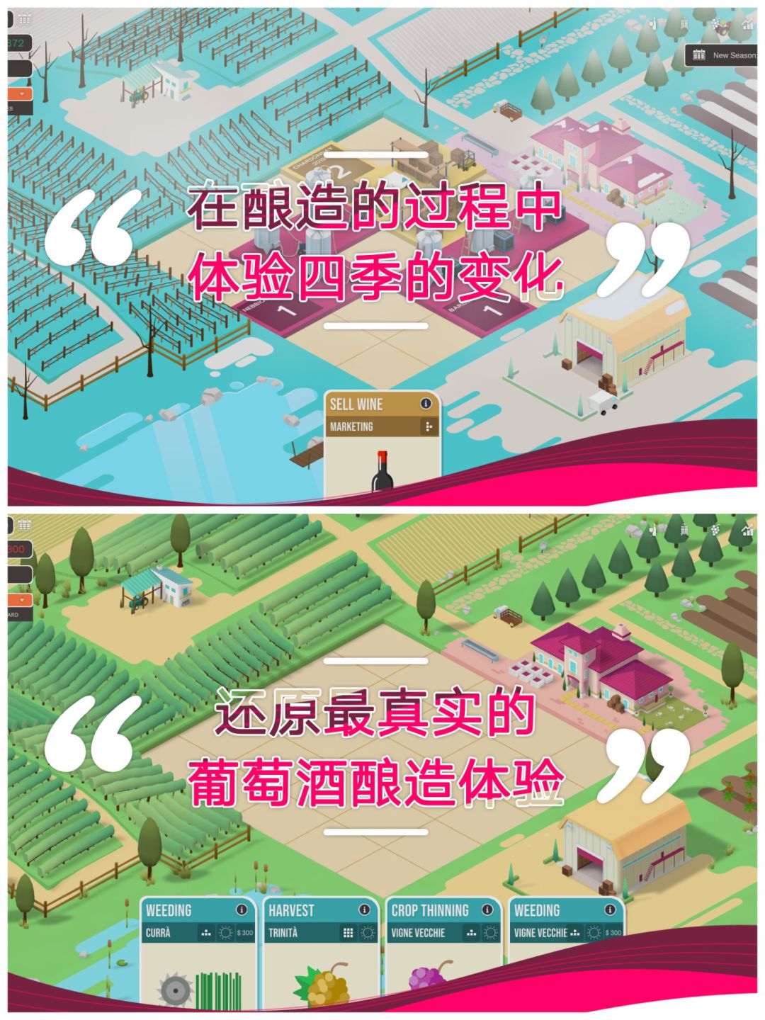 ✨种植葡萄✨酿造美酒 2