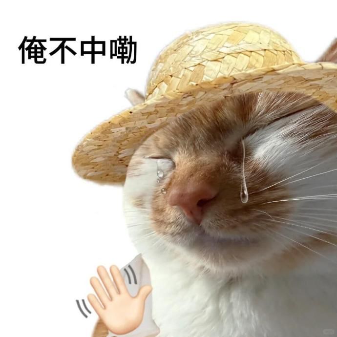 好想找对象有没有人骂醒我烦死了截图