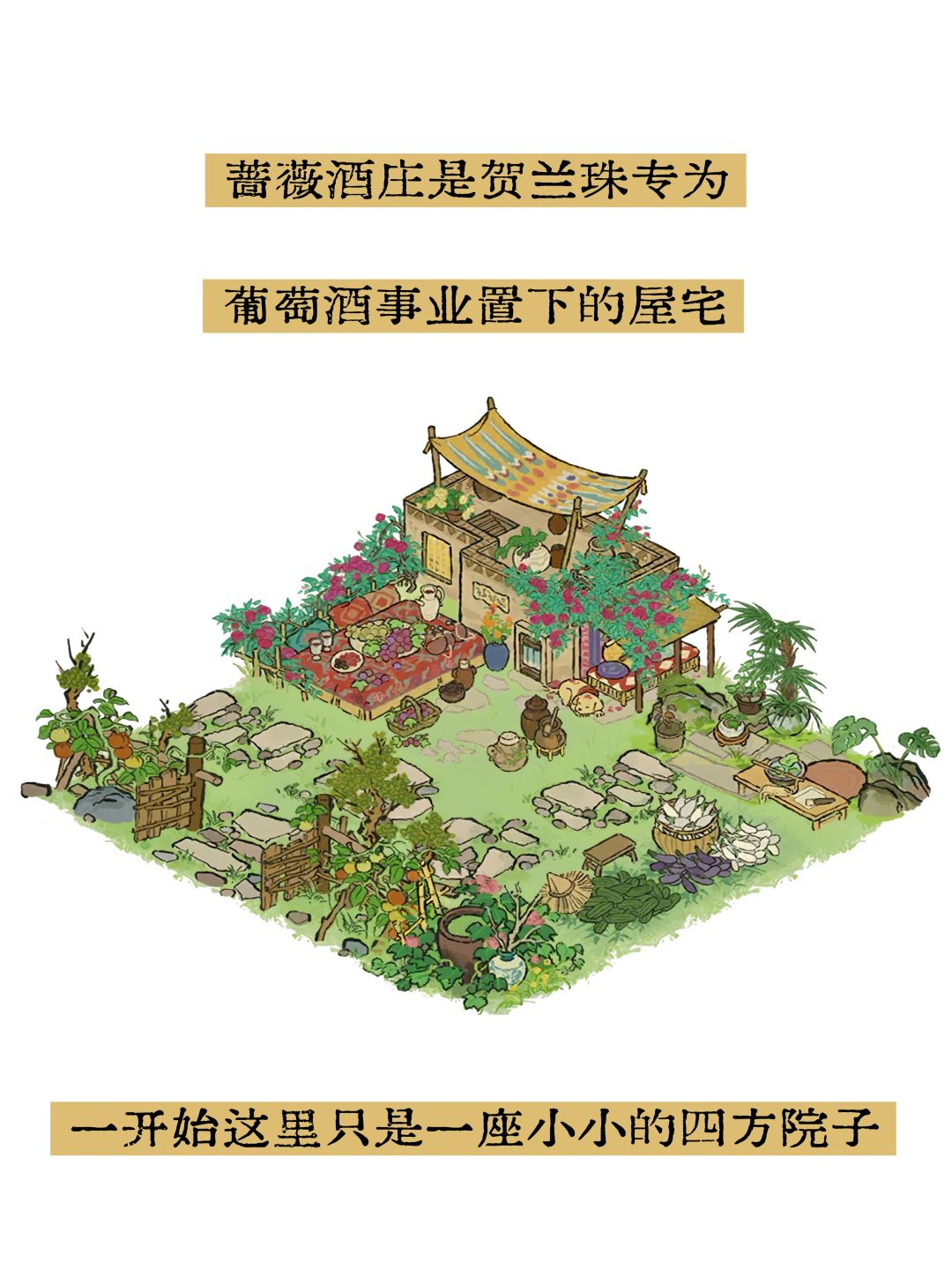 蔷薇酒庄——🍇葡萄大院🍇 1