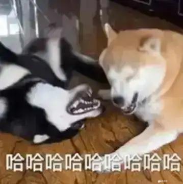 这些技能名字给爷整乐了截图