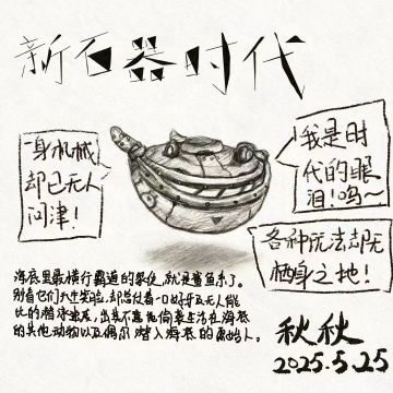 鲨鱼，快醒醒！