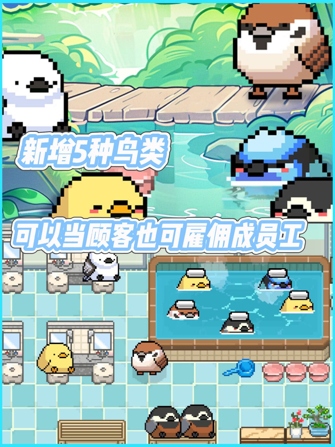动物温泉免费DLC来啦！新增5种鸟类记得领取 2
