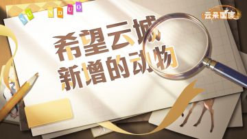 【已开奖】云城动物你来定！聊聊你最希望新增的动物