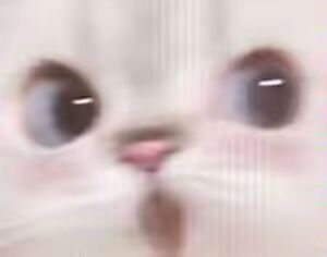 唉!滑墙! 1