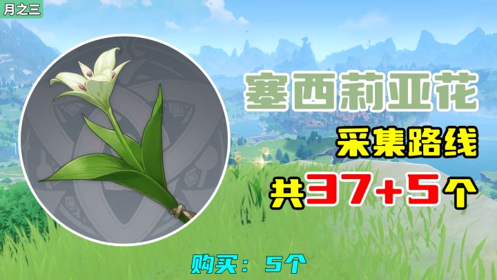 【原神】塞西莉亚花采集路线(37+5个),购买:5个截图