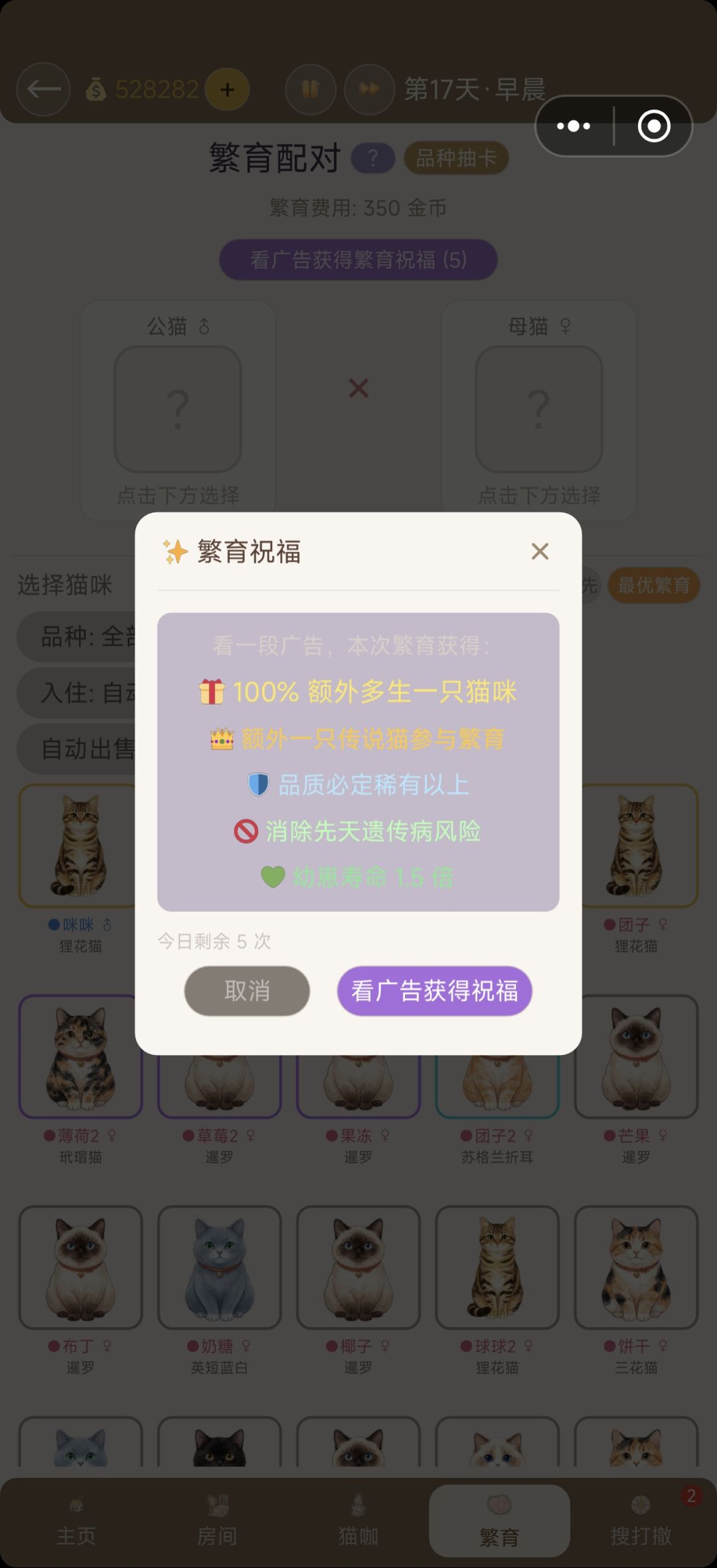 繁育祝福、流浪猫救助站加强 1