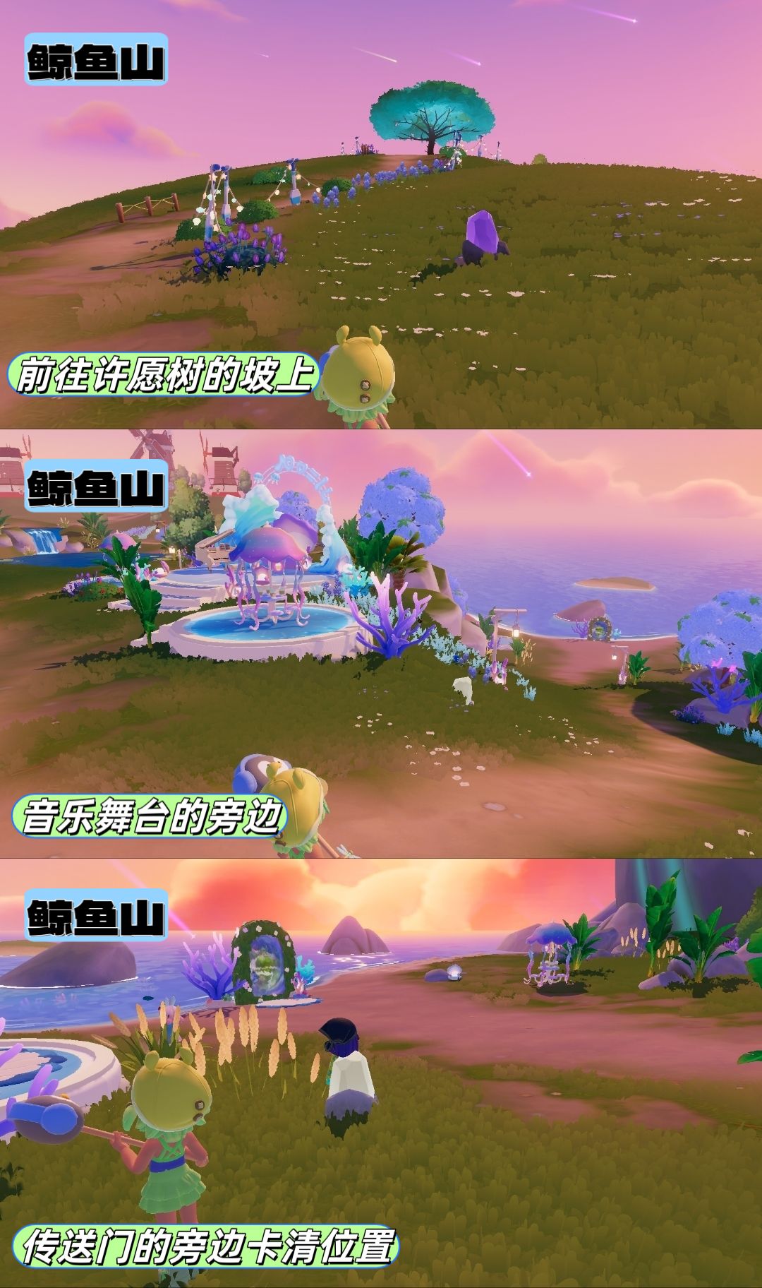 8.12花田月下朵朵 3