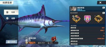 目前也算是毕业等30级的状态，想和大伙聊聊