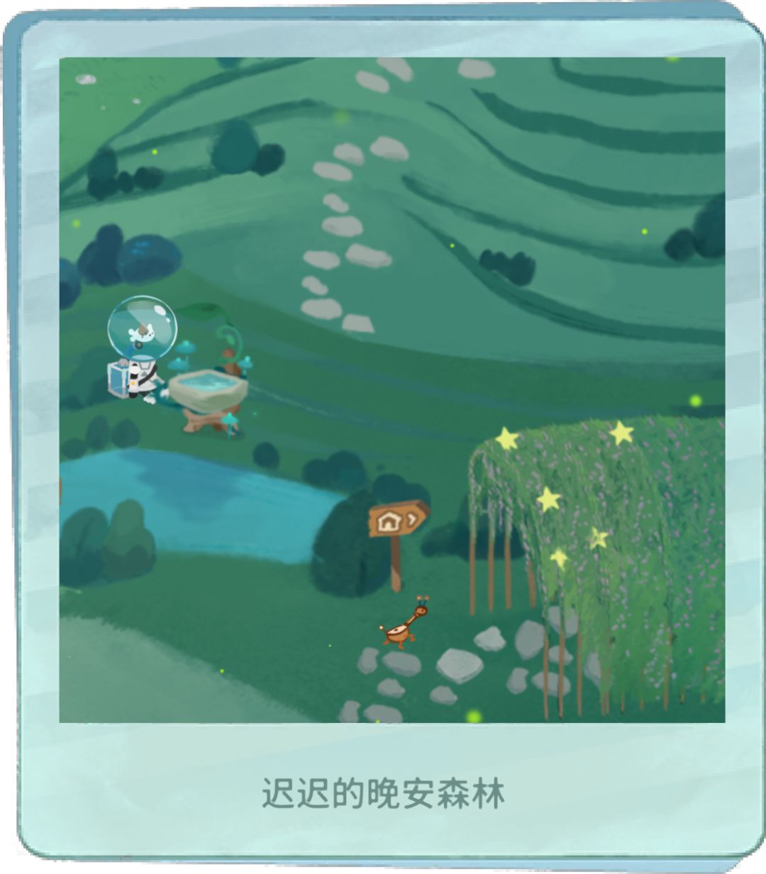 小动物赏 4