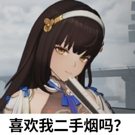 一个看不起你二次元还要赚二次元钱的厂 2