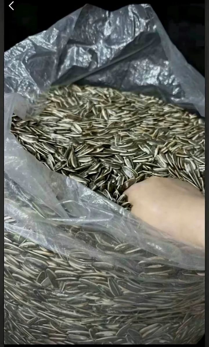 大佬们说说怎么五开，都开什么职业截图