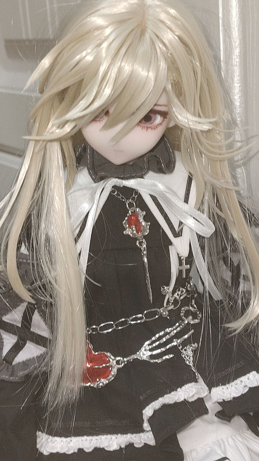 忒修斯之虾 1
