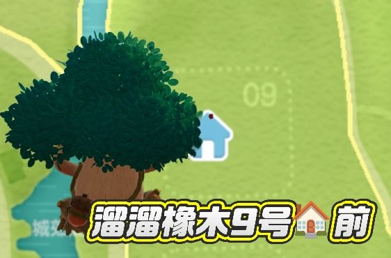 心动小镇溜溜橡木无瑕莹石天气2月3号 3