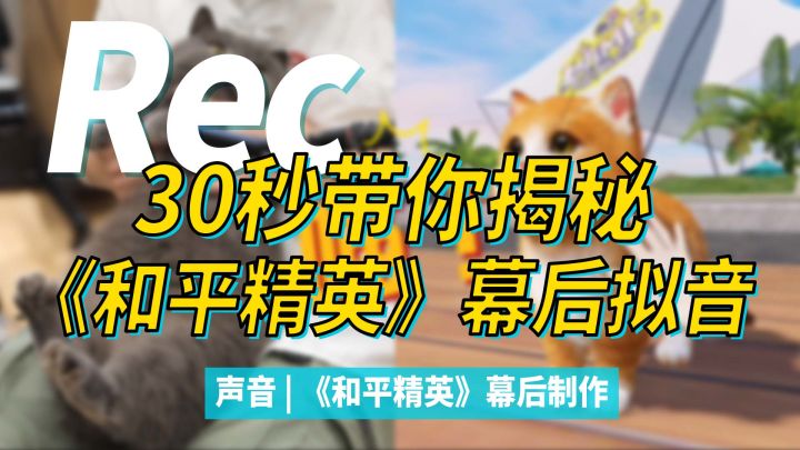 30秒又又又带你揭秘和平精英幕后拟音截图
