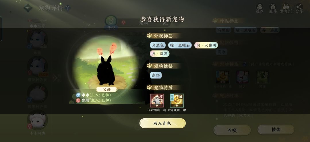 赵妈,要不要帮忙 2