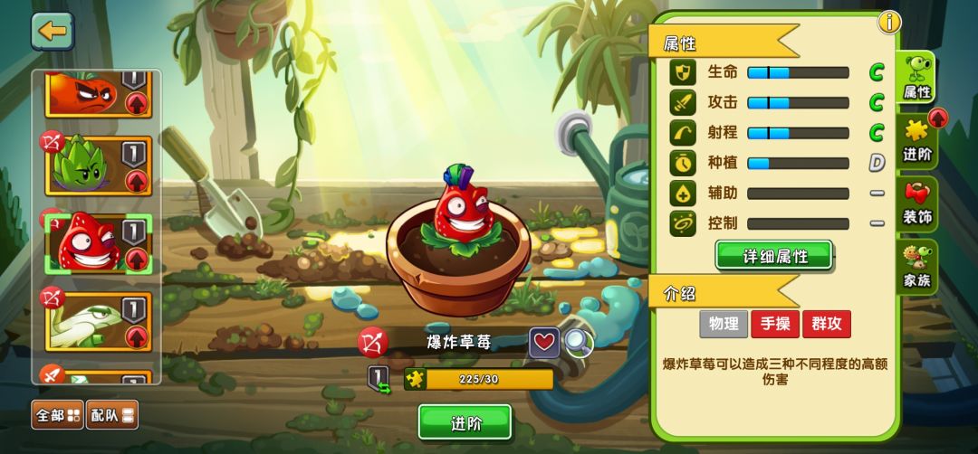 【焦点对焦】好喜庆的草莓 2