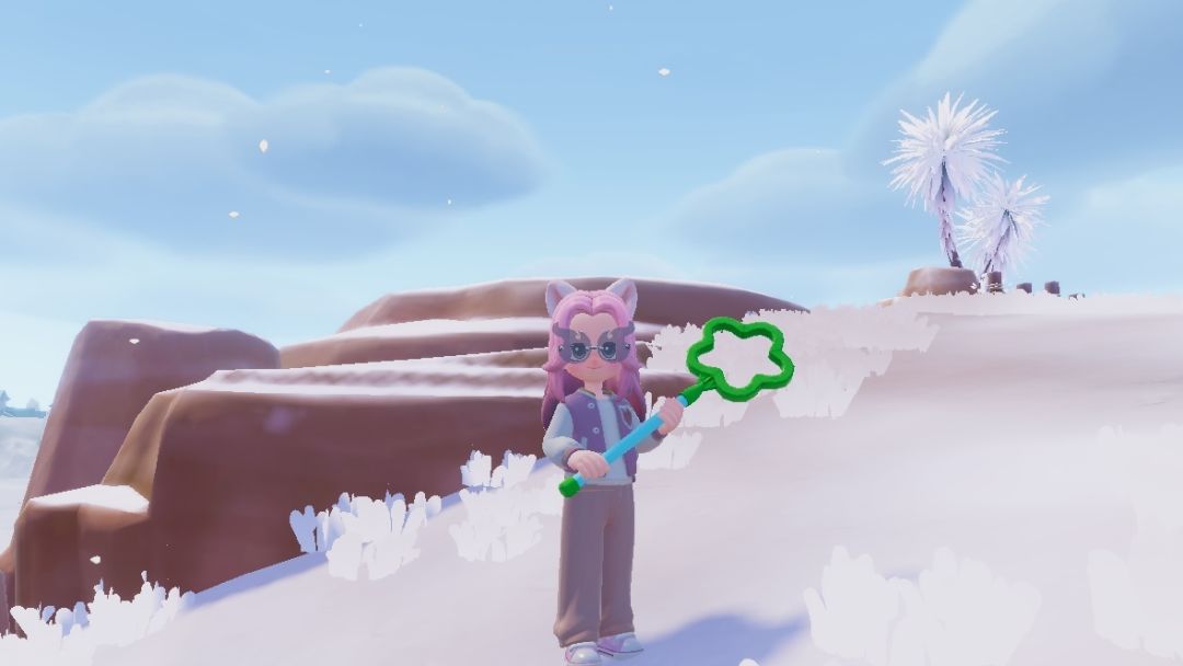 冰雪季的星星网兜和蓝花 1
