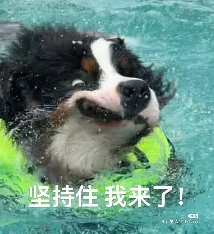 琉光现在几折了请问一下截图