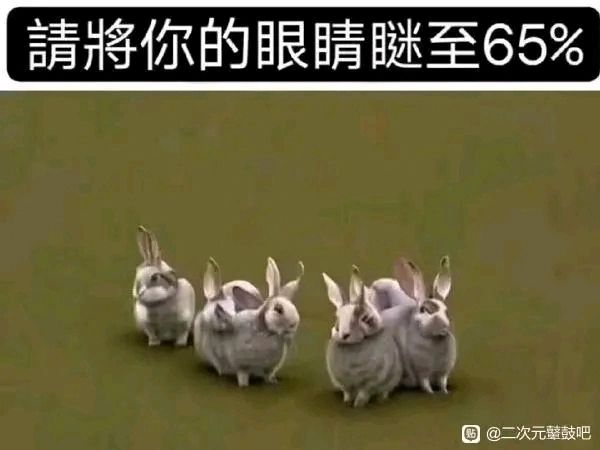这游戏没几个赛季了,把话放这里。截图