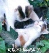 求问炎火戒附加12臂力可以吗截图