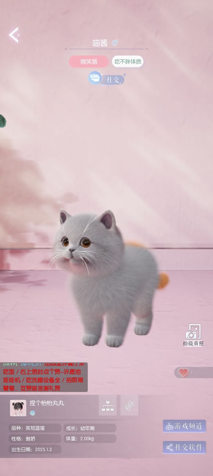 啊啊啊啊截图