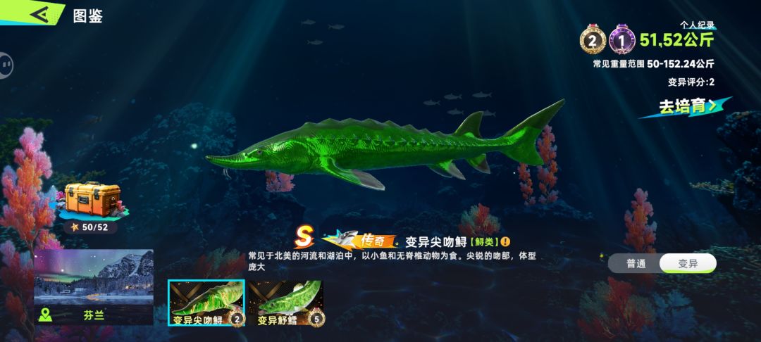 动态图片 3